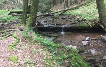 Smith's Knob via Painter's Run